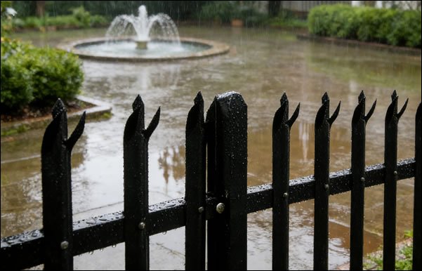 D section palisade fence triple pointed 3mm